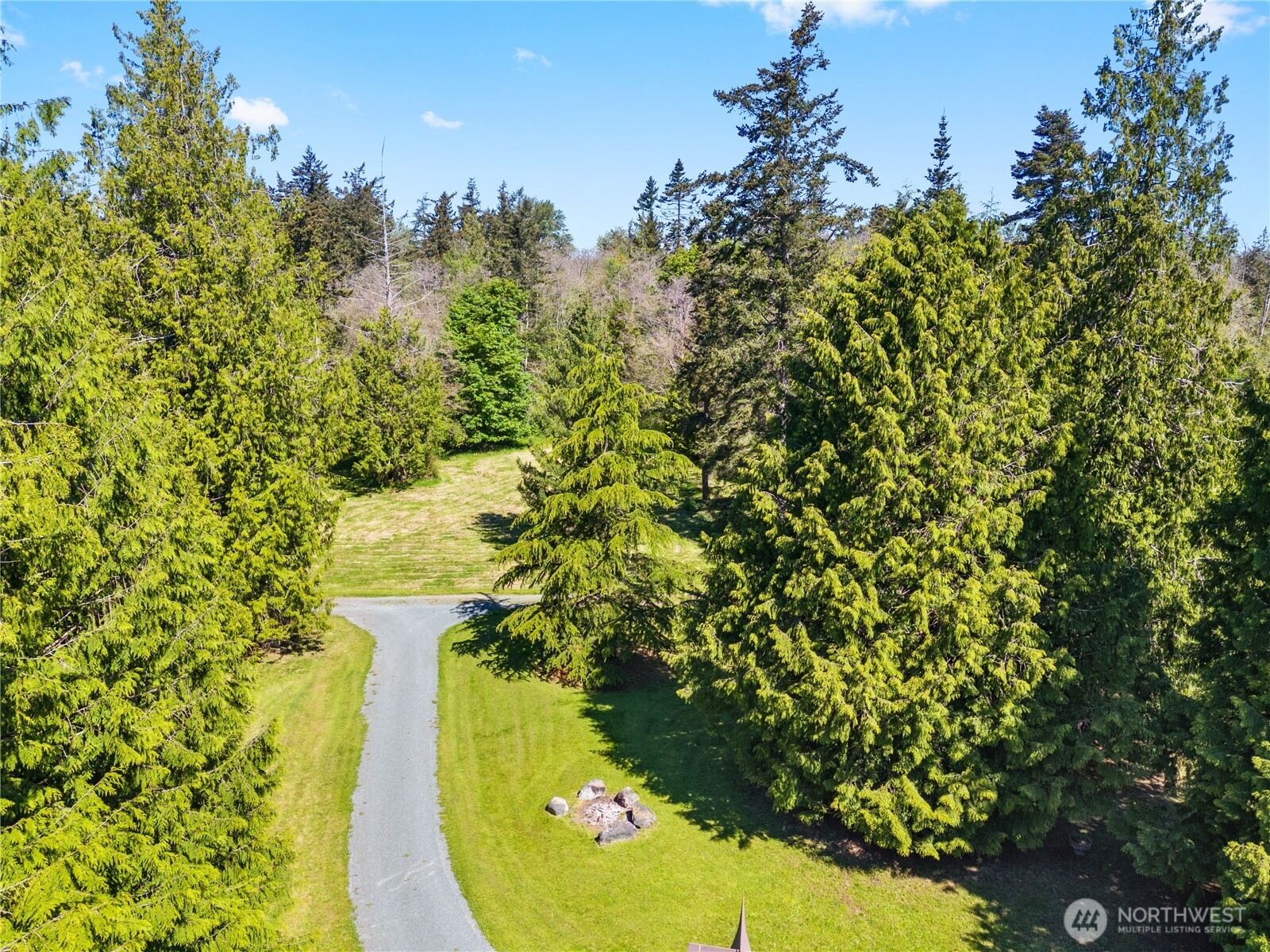 5513 Homestead Lane Anacortes, WA 98221 - Photo 3 of 37 a view of a garden with plants