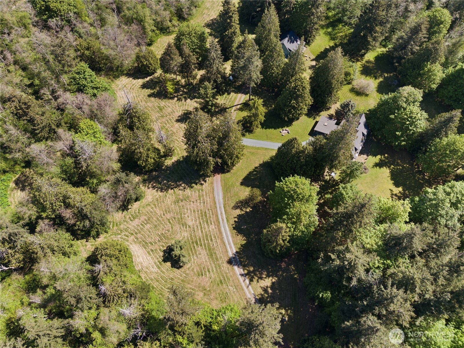 5513 Homestead Lane Anacortes, WA 98221 - Photo 37 of 37 a view of a garden with plants