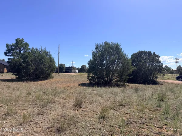 $20,000 | 2287 Meadow Lane, Unit 165, Overgaard, AZ 85933