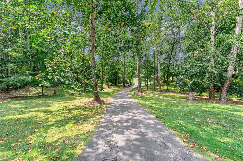 2162 Garards Fort Road Waynesburg, PA 15370 - Photo 49 of 50 a view of a yard with a tree