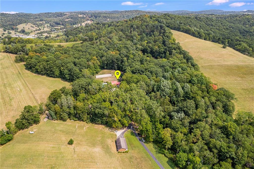 2162 Garards Fort Road Waynesburg, PA 15370 - Photo 50 of 50 a view of a forest with a lake view