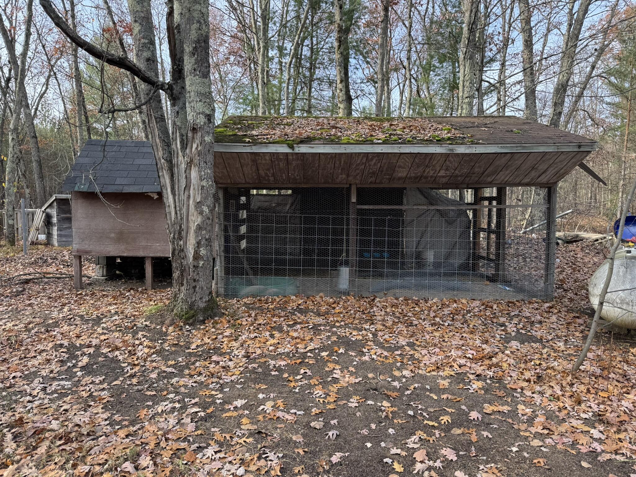 2772 Skidmore Road Brethren, MI 49619 - Photo 18 of 22 IMG_1655