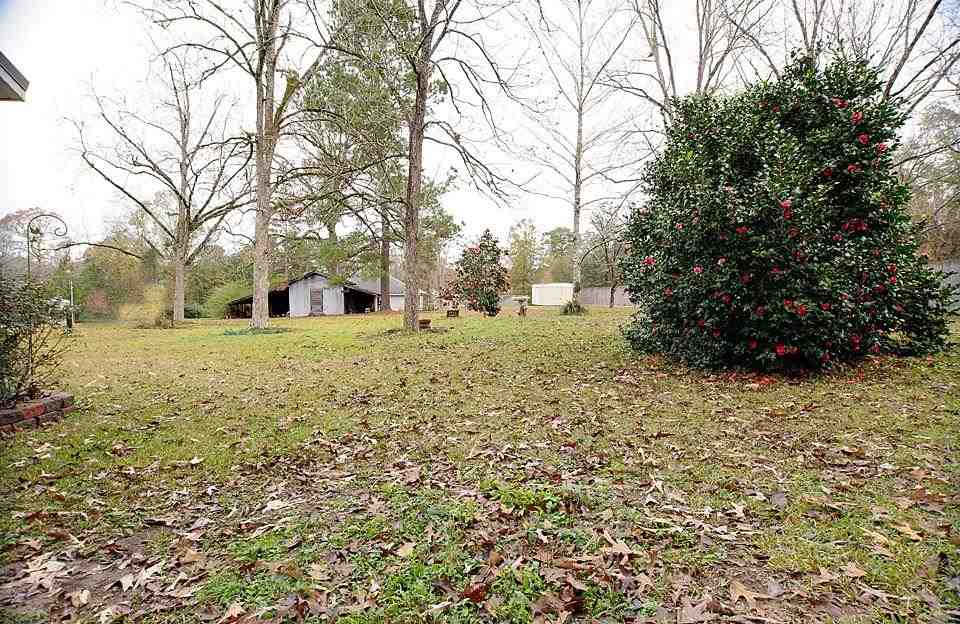 165 Washboard Road Ball, LA 71405 - Photo 6 of 11 Gallery Image 6