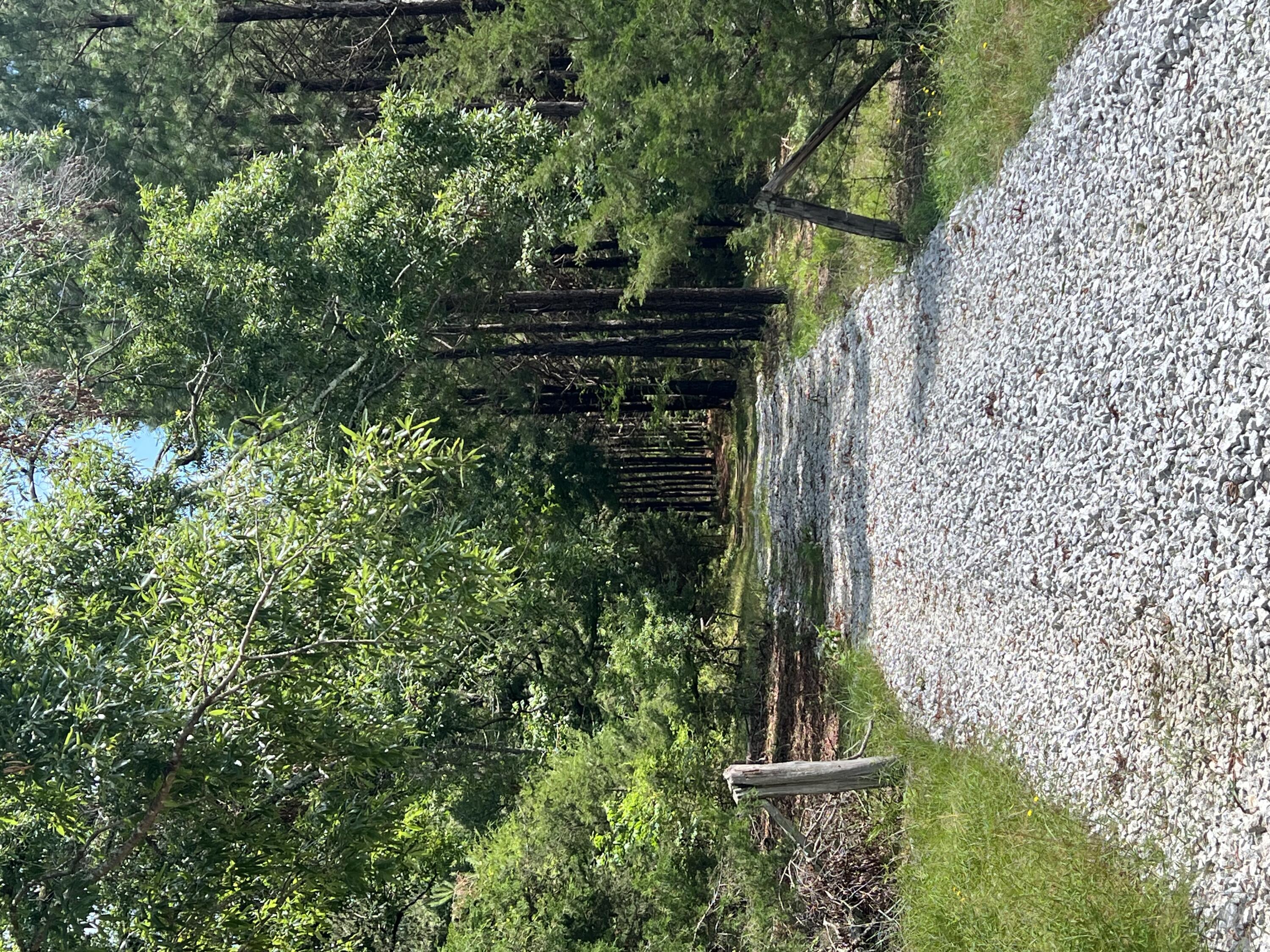 3199 Dozier Road Appling, GA 30802 - Photo 1 of 10 Front