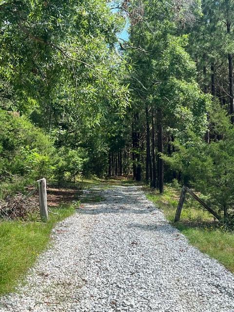 3199 Dozier Road Appling, GA 30802 - Photo 3 of 10 image2 (24)