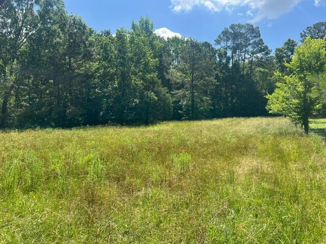 3199 Dozier Road Appling, GA 30802 - Photo 4 of 10 image1 (22)