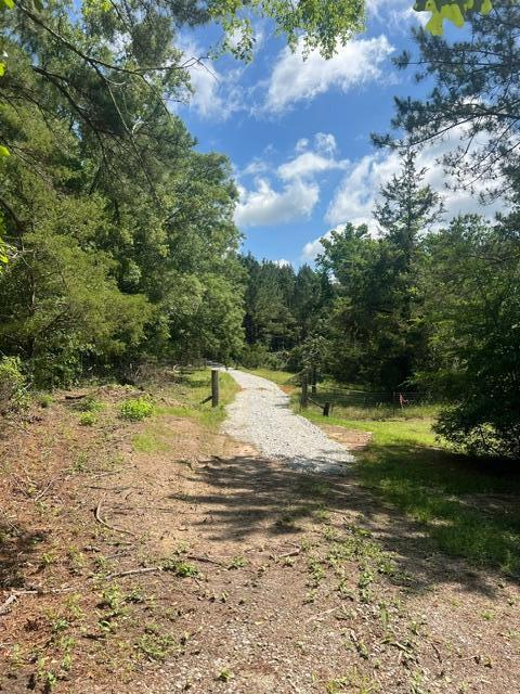3199 Dozier Road Appling, GA 30802 - Photo 5 of 10 image0 (43)