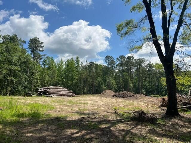 3199 Dozier Road Appling, GA 30802 - Photo 7 of 10 image1 (20)