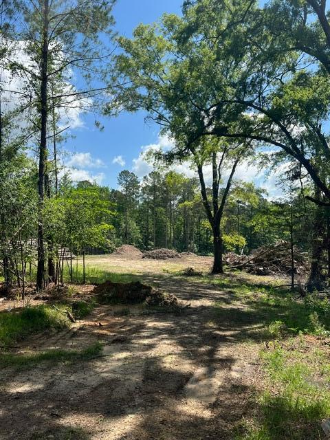 3199 Dozier Road Appling, GA 30802 - Photo 8 of 10 image2 (22)