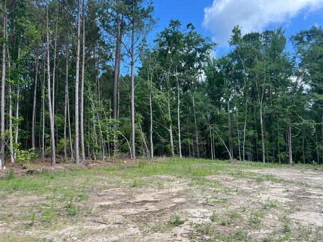 3199 Dozier Road Appling, GA 30802 - Photo 10 of 10 image4 (15)