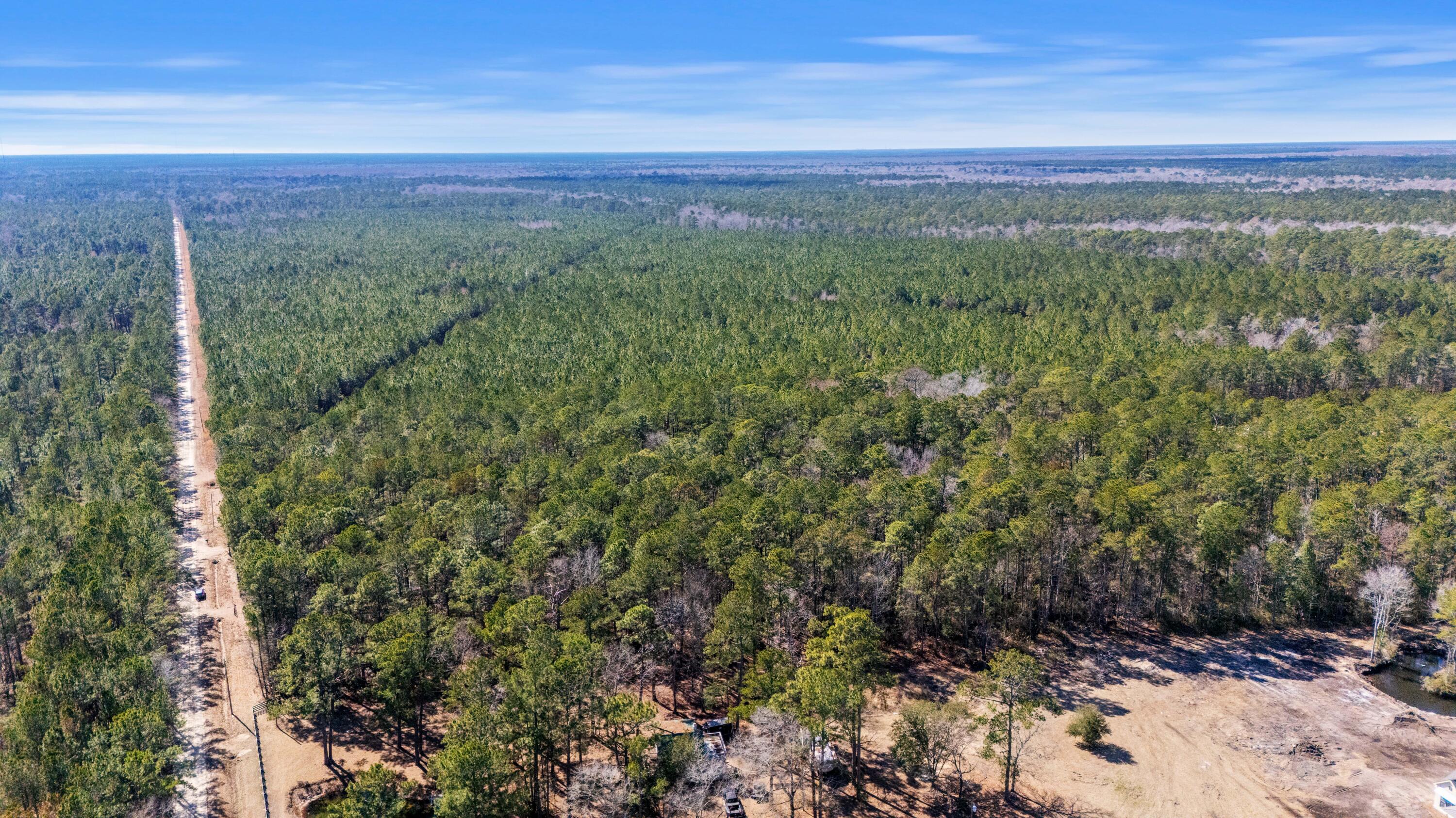 9168 Old Georgetown Road McClellanville, SC 29458 - Photo 34 of 45 DJI_20260223135009_0585_D