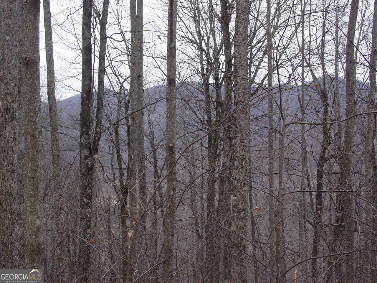 17 Roaring Ridge Trail Hiawassee, GA 30546 - Photo 3 of 4