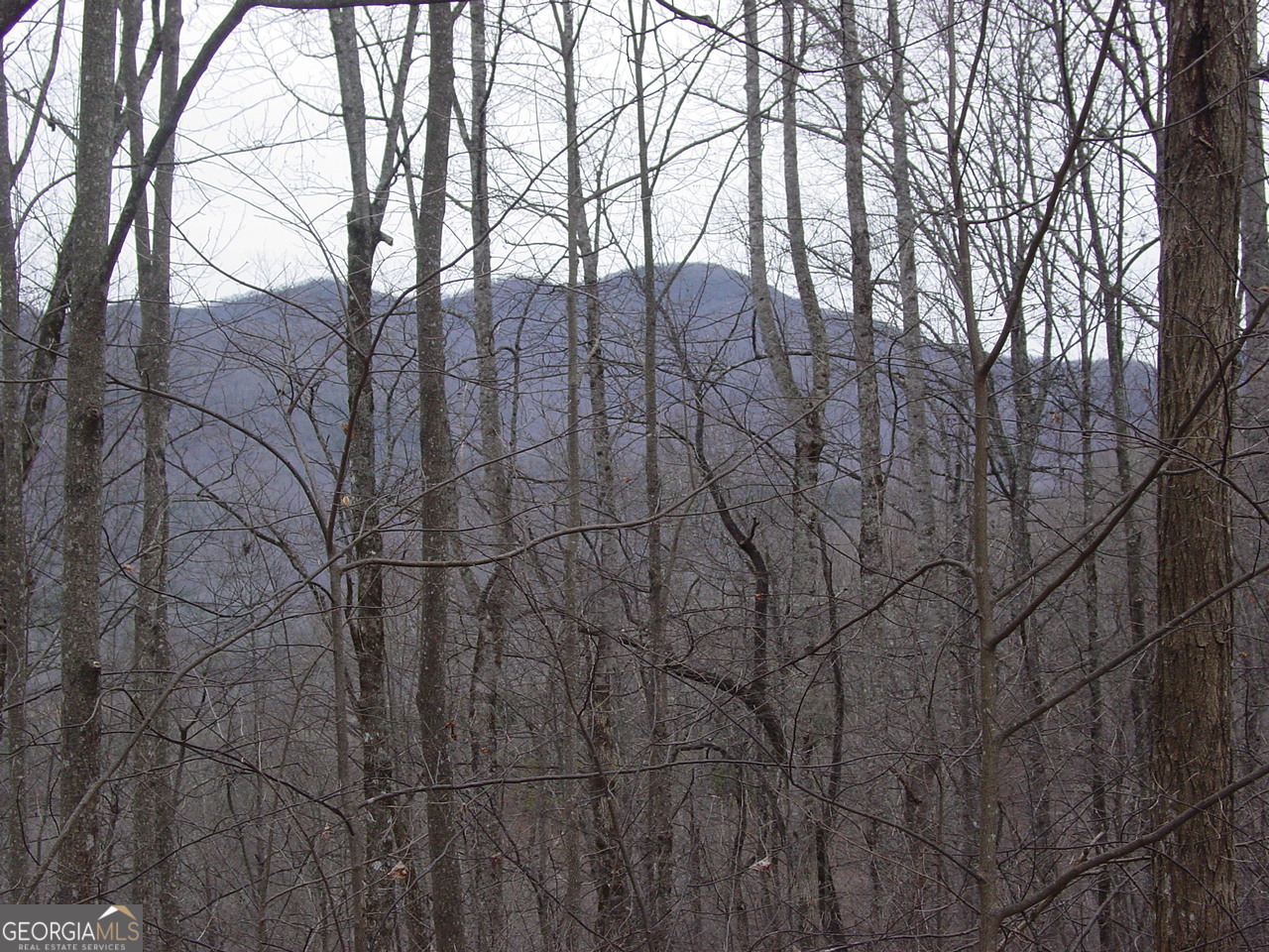 17 Roaring Ridge Trail Hiawassee, GA 30546 - Photo 4 of 4