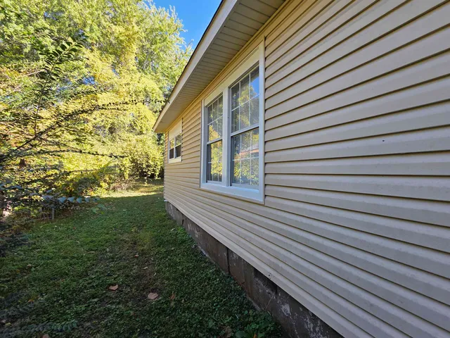 a view of a backyard with plants and large trees