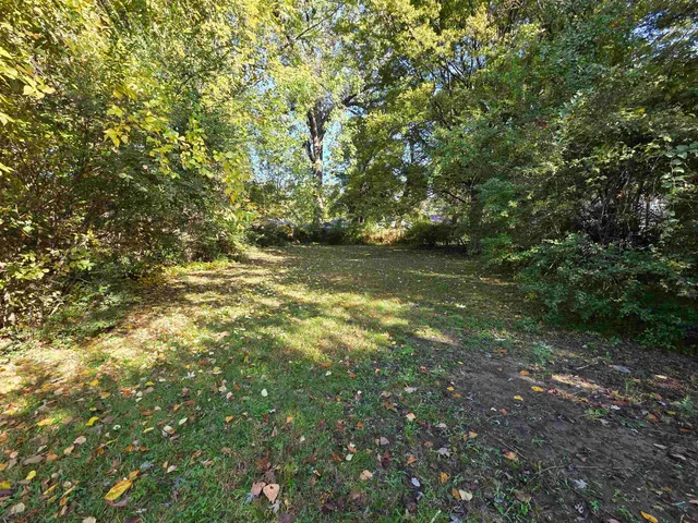 a view of a yard with a tree