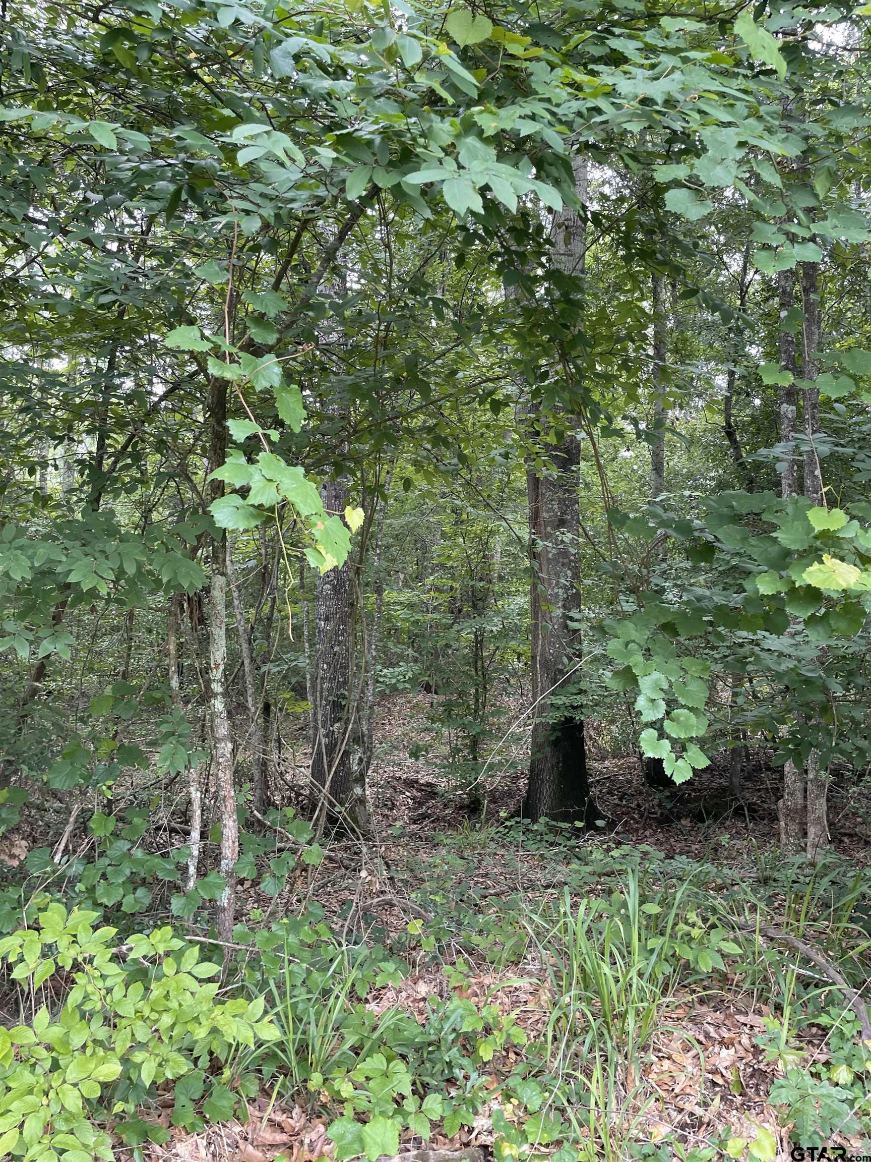 1645 St Timpson Tx 75975 Timpson, TX 75975 - Photo 11 of 14 a backyard of a house with lots of green space and garden