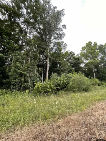 $127,500 | 1645 St Timpson Tx 75975, Timpson, TX 75975