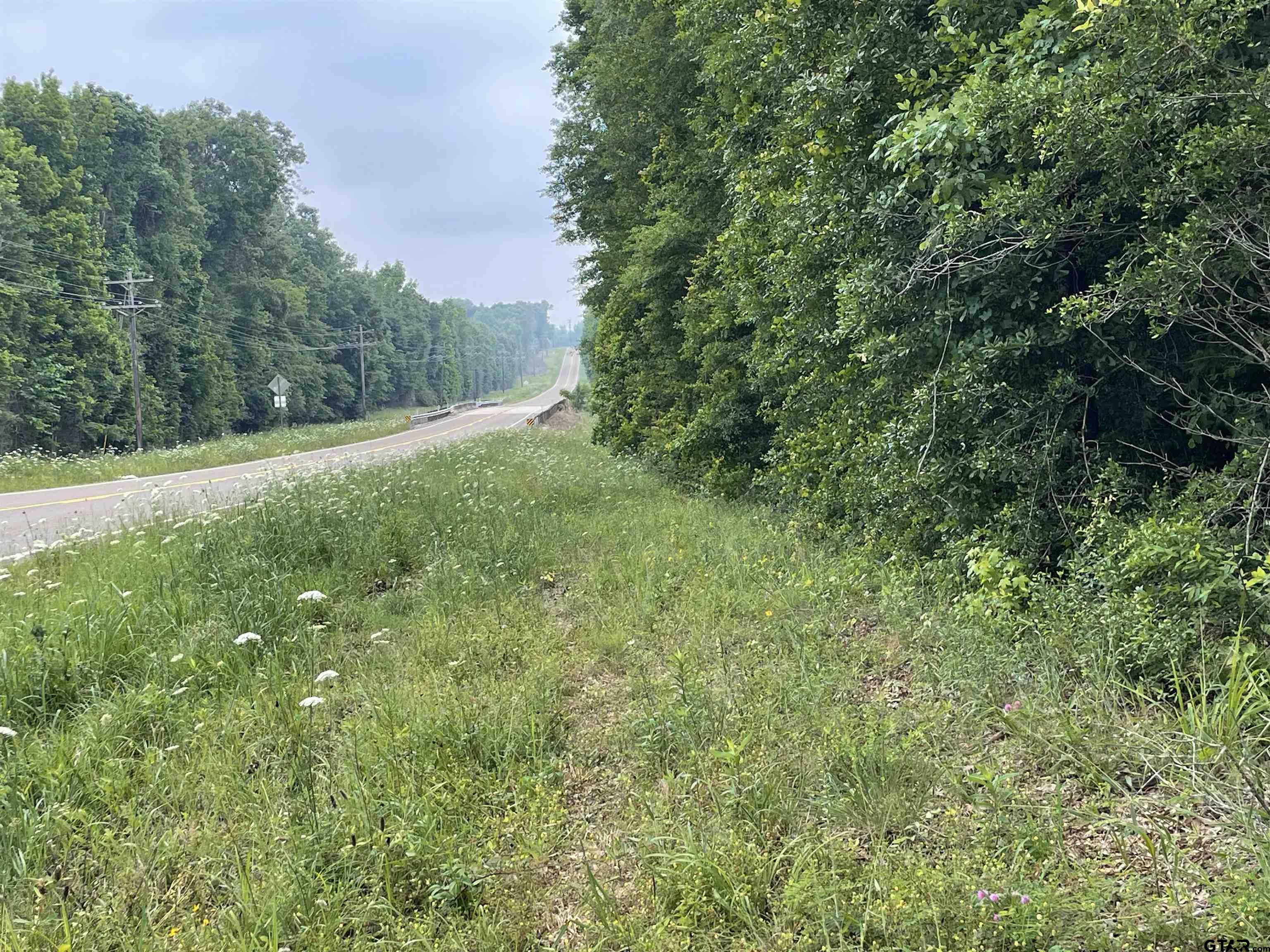 1645 St Timpson Tx 75975 Timpson, TX 75975 - Photo 14 of 14 a view of a lush green space