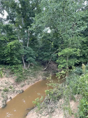 $127,500 | 1645 St Timpson Tx 75975, Timpson, TX 75975