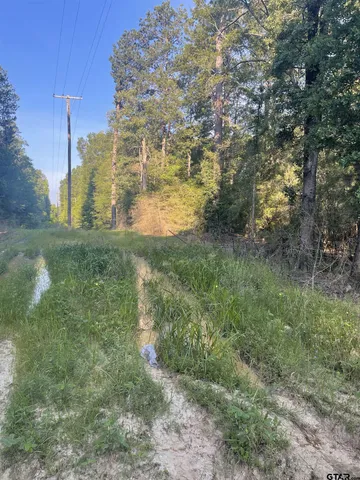 $127,500 | 1645 St Timpson Tx 75975, Timpson, TX 75975