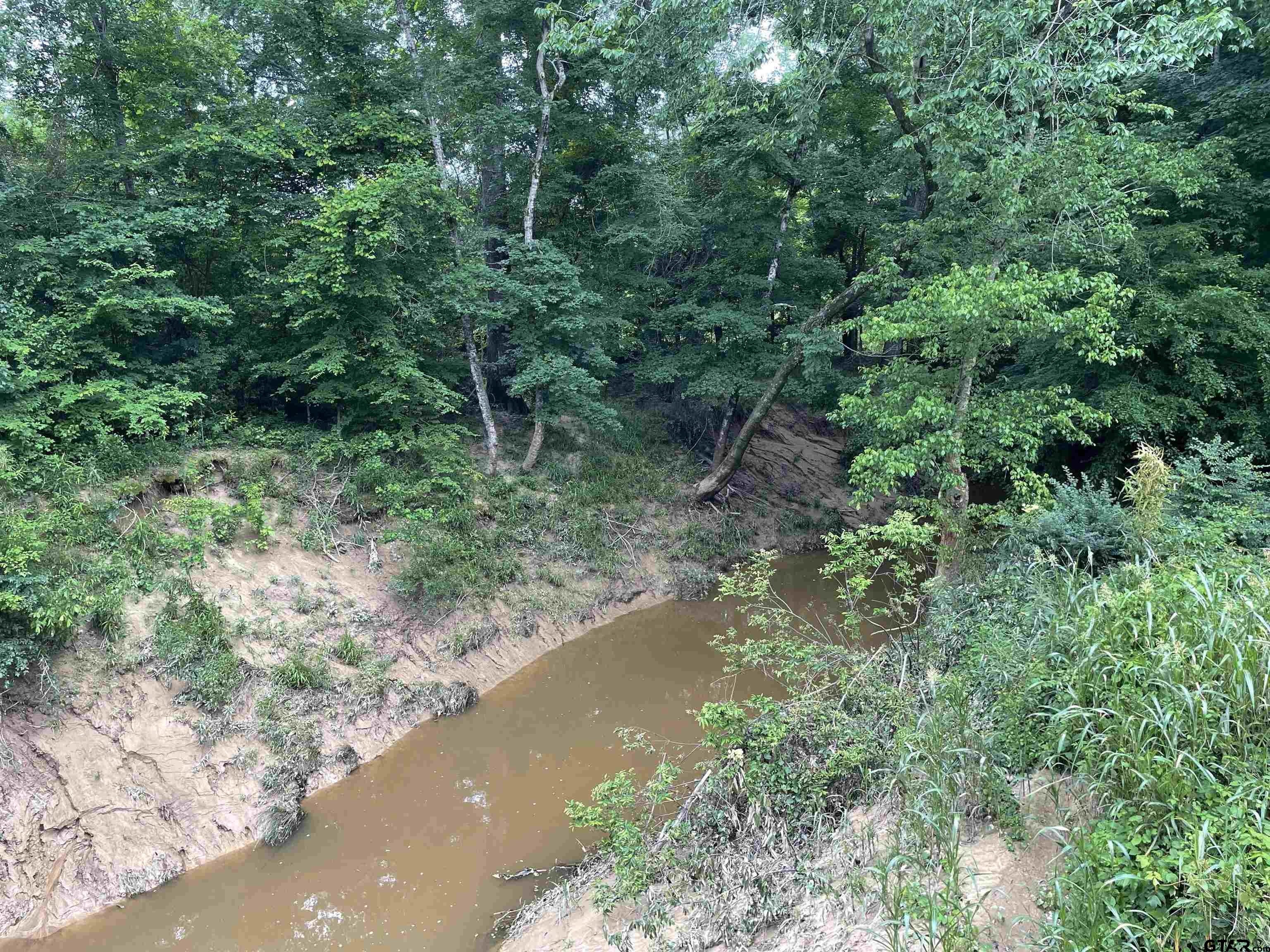 1645 St Timpson Tx 75975 Timpson, TX 75975 - Photo 6 of 14 a view of a forest with a tree