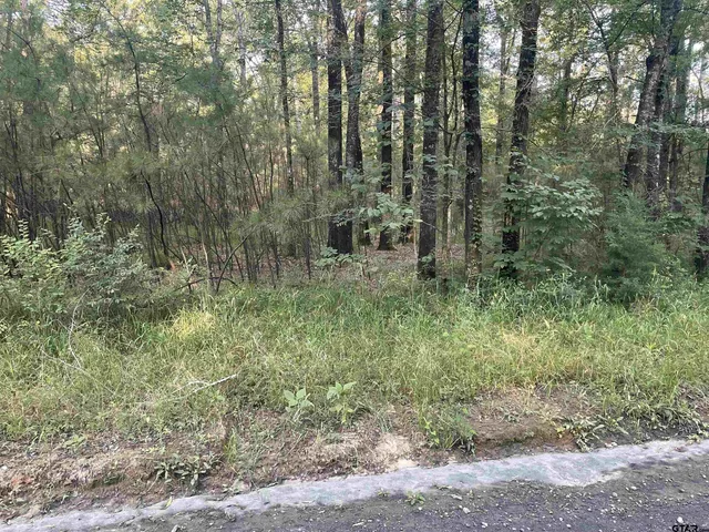 $127,500 | 1645 St Timpson Tx 75975, Timpson, TX 75975