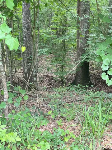 $127,500 | 1645 St Timpson Tx 75975, Timpson, TX 75975