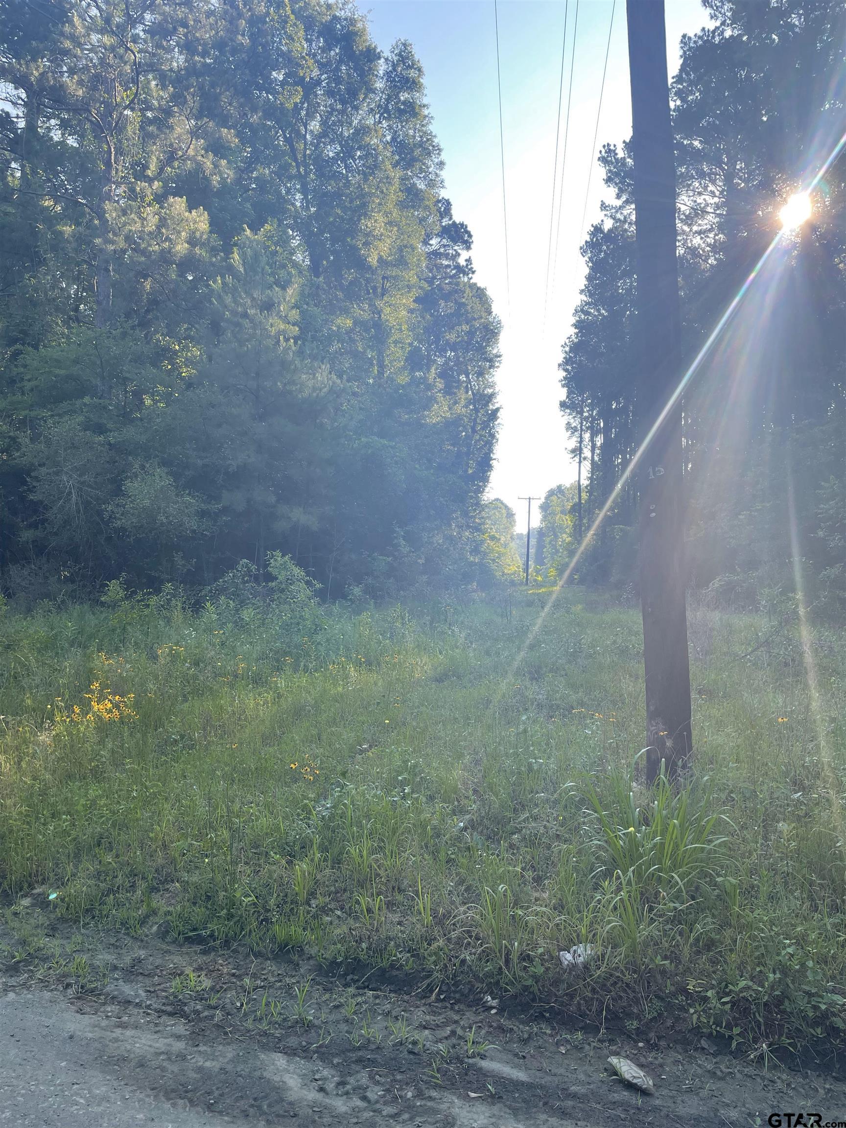 1645 St Timpson Tx 75975 Timpson, TX 75975 - Photo 9 of 14