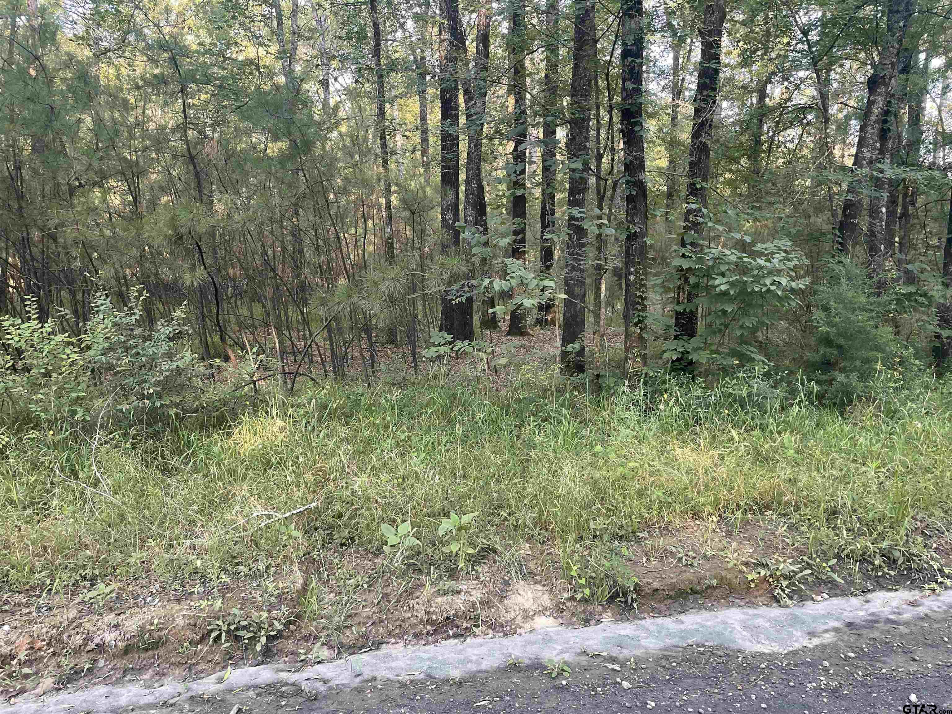 1645 St Timpson Tx 75975 Timpson, TX 75975 - Photo 10 of 14 a big yard with lots of green space and plants