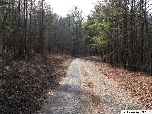 1700 Fulton Gap Road Sylacauga, AL 35150 - Photo 18 of 20