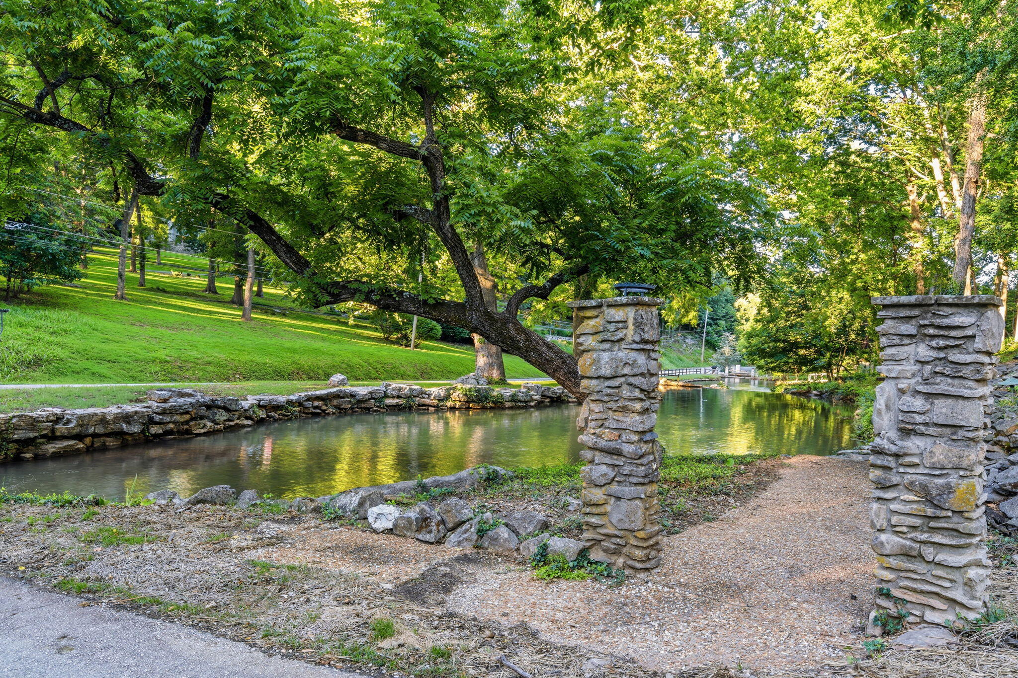1318 South Jones Mill Lane Springfield, MO 65809 - Photo 110 of 122 97-web-or-mls-DSC04478