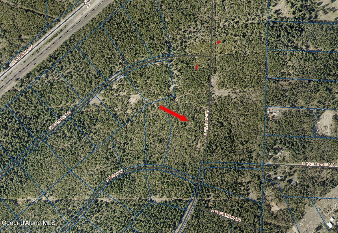 23885 North Ceylon Road Rathdrum, ID 83858 - Photo 4 of 5 Aerial