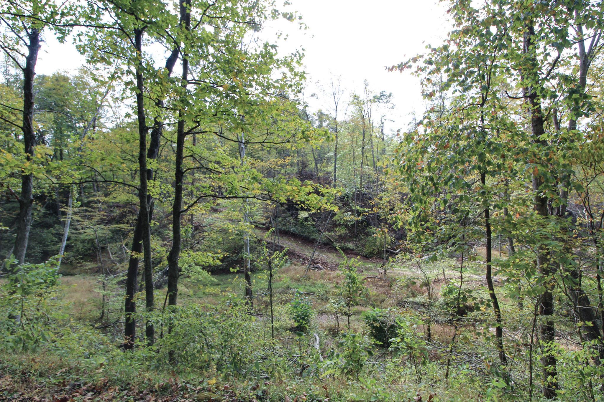 0 Cow Run Road Marietta, OH 45750 - Photo 4 of 17 3-IMG_9097