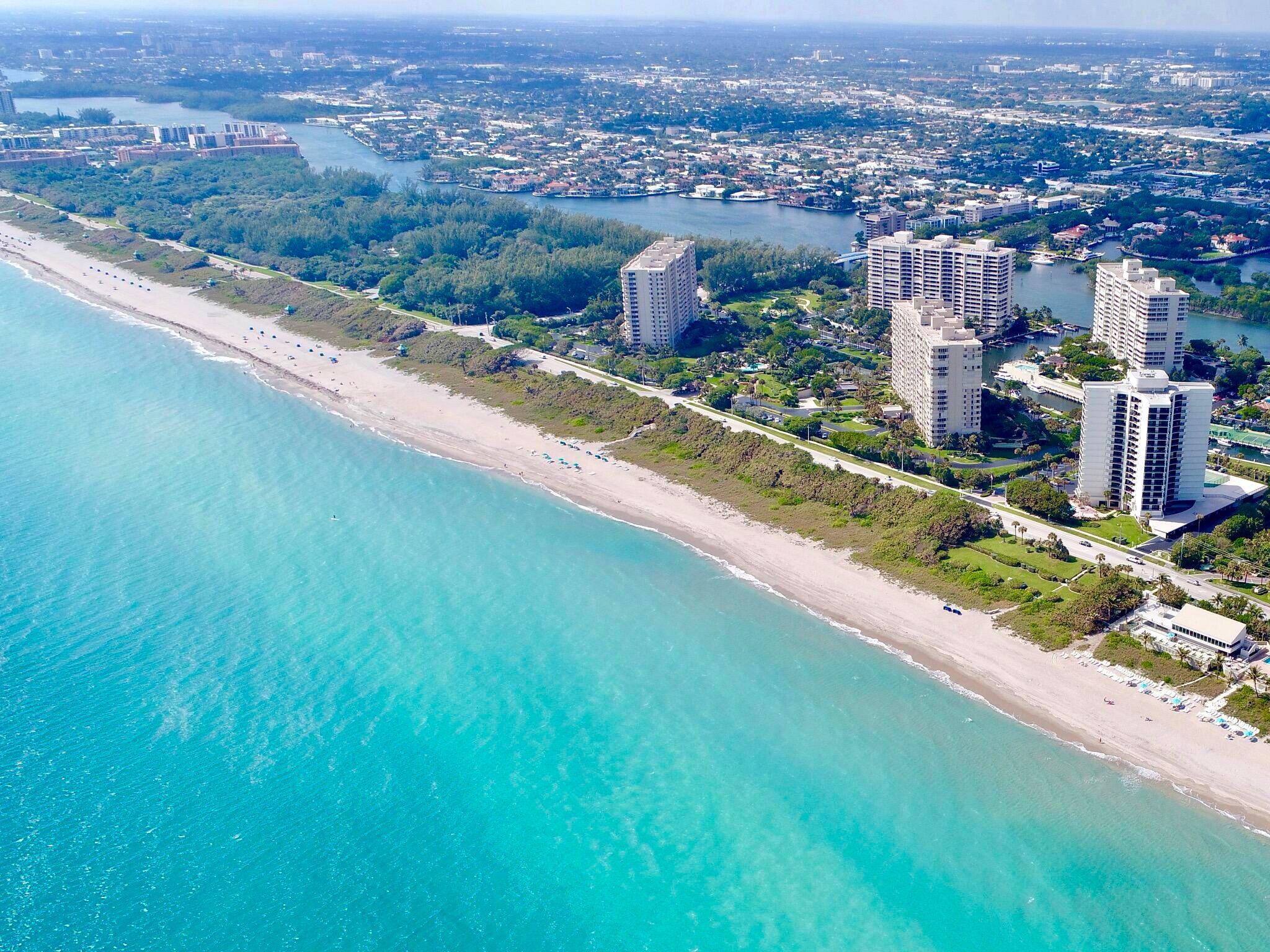 an aerial view of city ocean and trees