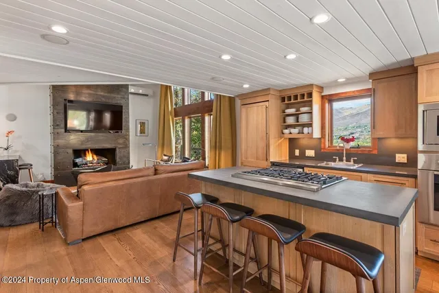 $65,000 | 809 South Aspen Street, Unit 1, Aspen, CO 81611