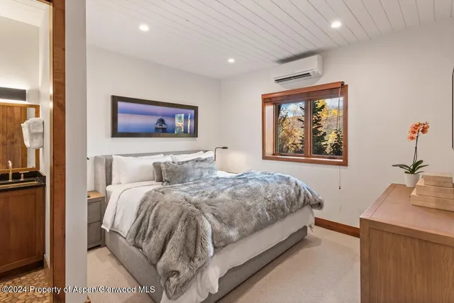 $65,000 | 809 South Aspen Street, Unit 1, Aspen, CO 81611