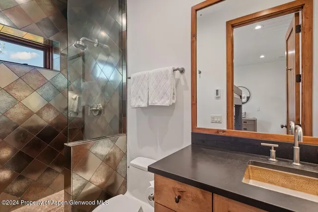 $65,000 | 809 South Aspen Street, Unit 1, Aspen, CO 81611