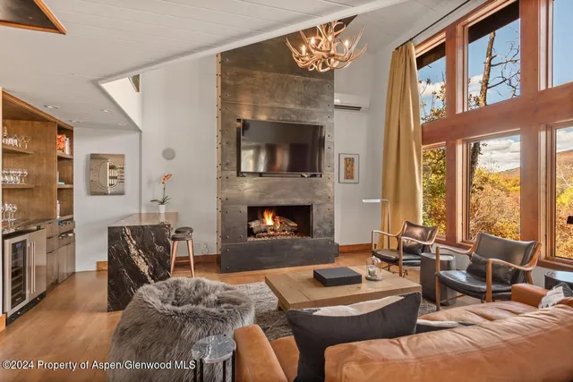 $65,000 | 809 South Aspen Street, Unit 1, Aspen, CO 81611