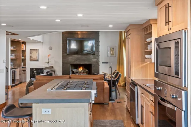 $65,000 | 809 South Aspen Street, Unit 1, Aspen, CO 81611