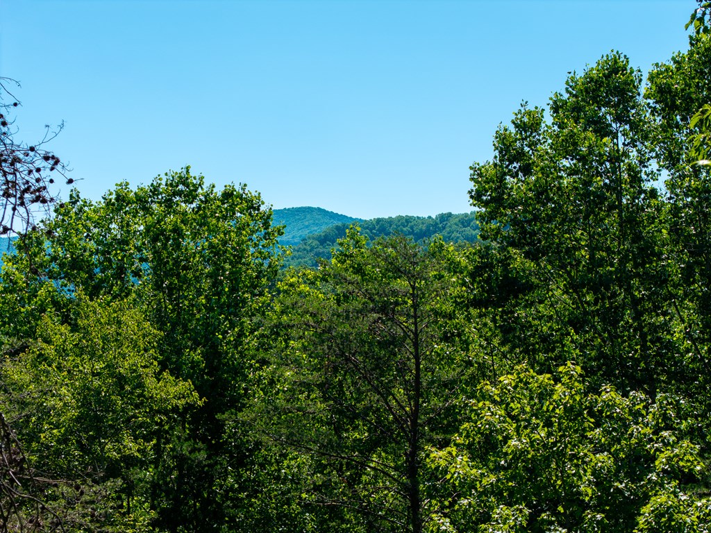 775 Mountain Oak Road Ellijay, GA 30536 - Photo 67 of 106