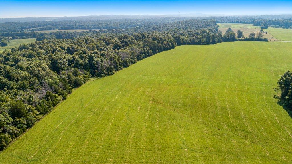 1336 Bethany Church Road Princeton, KY 42445 - Photo 41 of 70 DJI_0477.jpg-SMALL