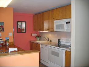 1229 Notchbrook Road, Unit AB Stowe, VT 05672 - Photo 3 of 10 Gallery Image 3