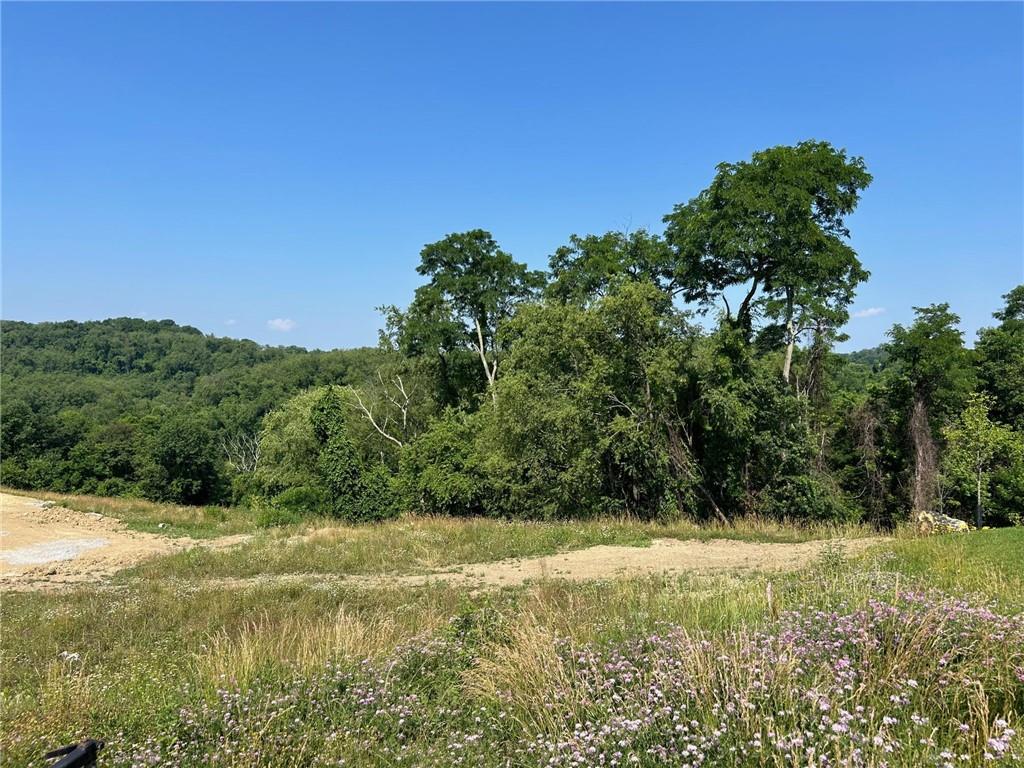 3055 Chestnut Ridge Drive Jefferson Hills, PA 15025 - Photo 1 of 10 a view of a yard with a tree