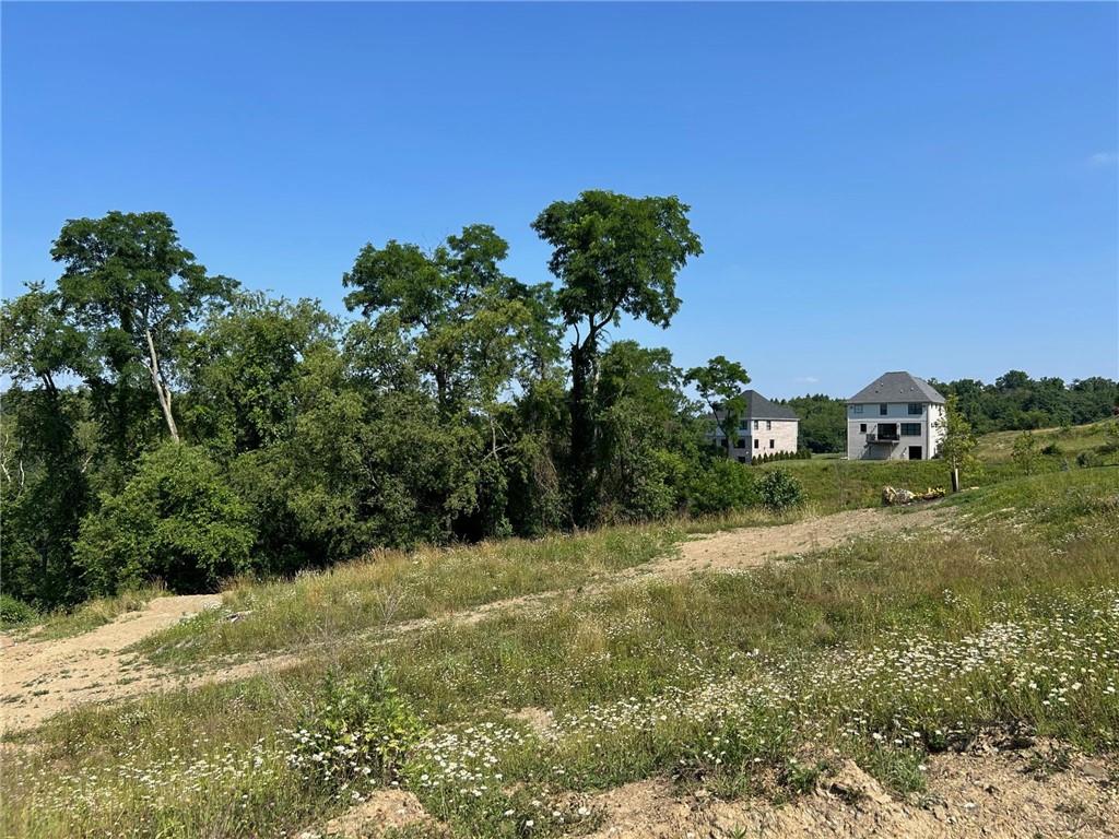 3055 Chestnut Ridge Drive Jefferson Hills, PA 15025 - Photo 4 of 10 a view of a bunch of trees and bushes