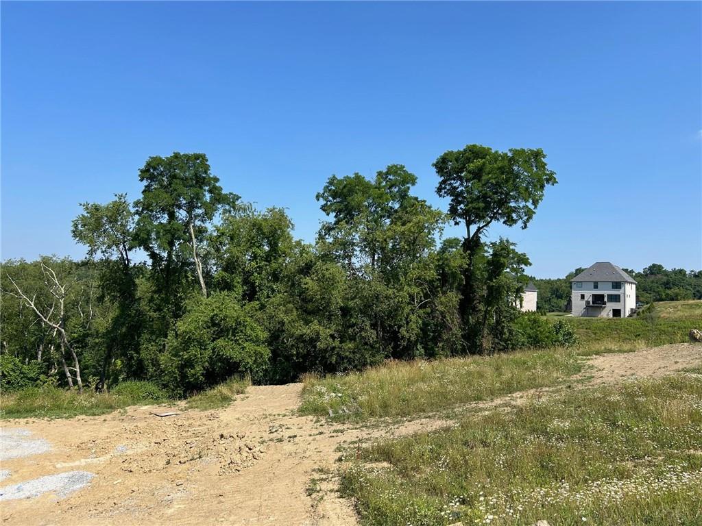 3055 Chestnut Ridge Drive Jefferson Hills, PA 15025 - Photo 5 of 10 a view of a yard with a tree