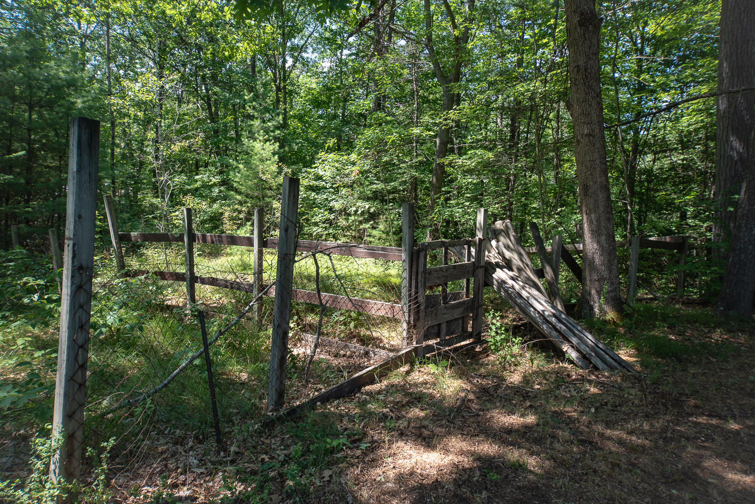 908 Chadbourne Ridge Road North Waterboro, ME 04061 - Photo 17 of 18 Chadbourne Ridge_43