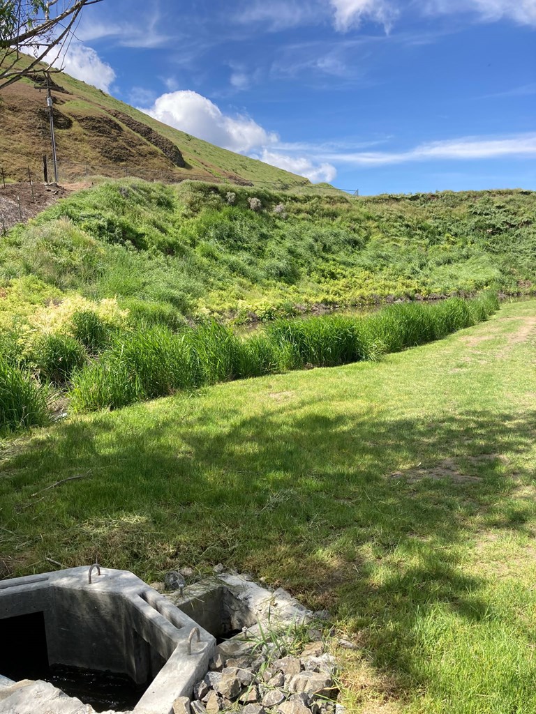 Lot 10 Cactus Lane, Unit 10 Lewiston, ID 83501 - Photo 17 of 35