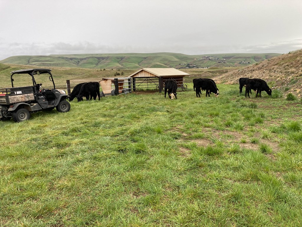Lot 10 Cactus Lane, Unit 10 Lewiston, ID 83501 - Photo 20 of 35