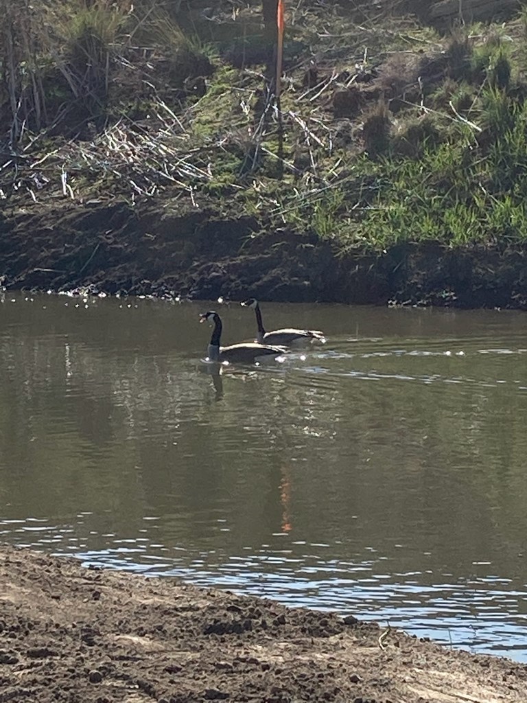 Lot 10 Cactus Lane, Unit 10 Lewiston, ID 83501 - Photo 28 of 35