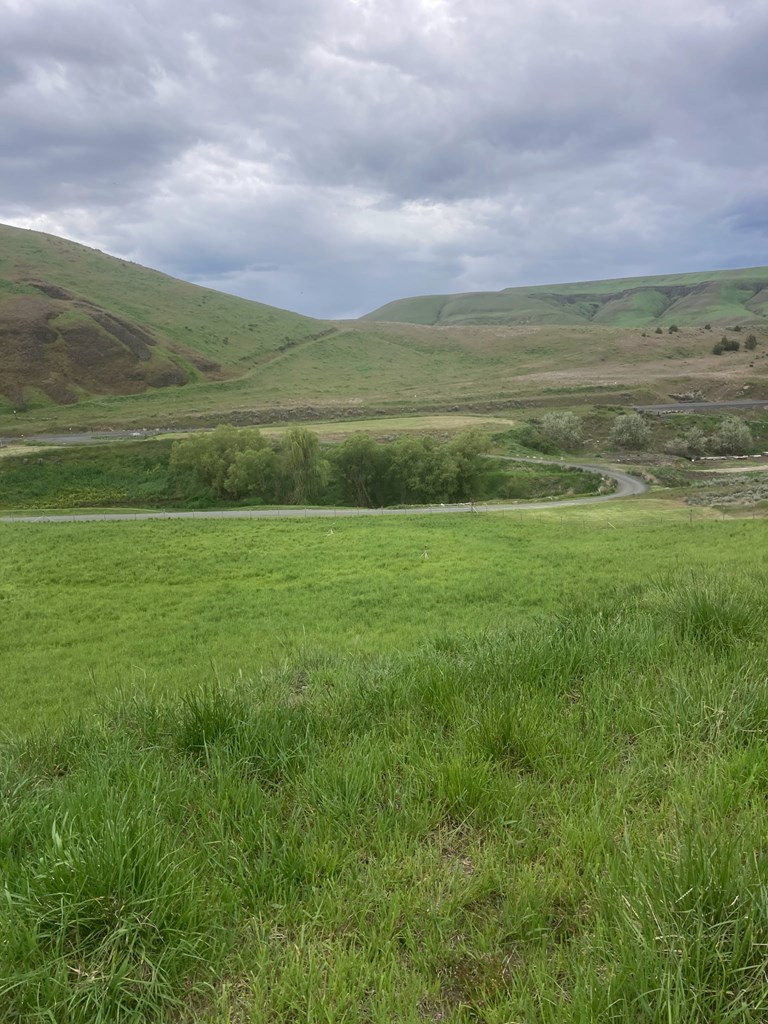 Lot 10 Cactus Lane, Unit 10 Lewiston, ID 83501 - Photo 9 of 35